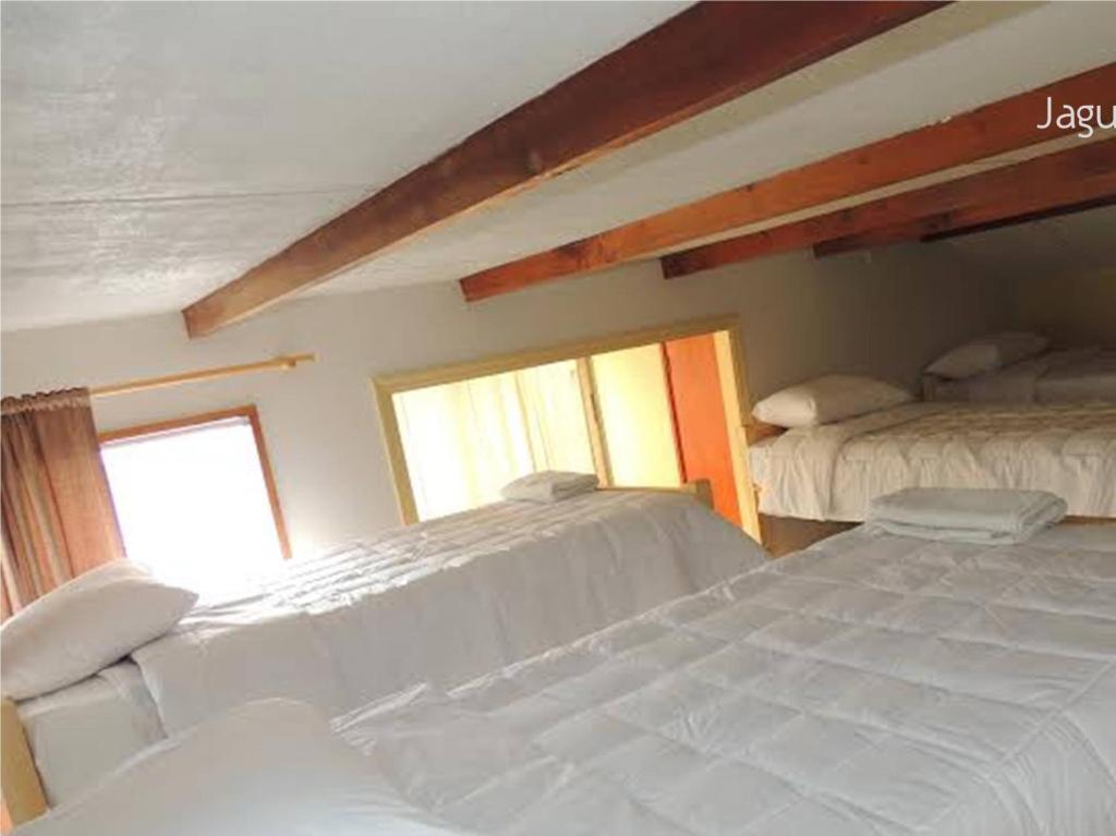Hostel Jaguar Виня дел Мар Стая снимка